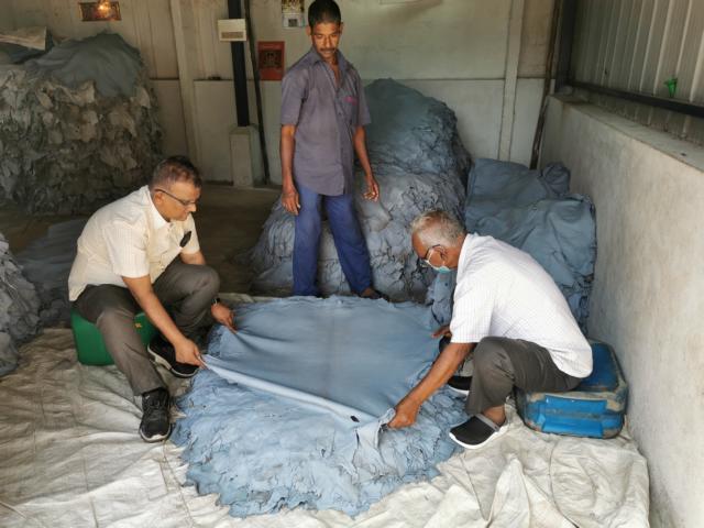 wet-blue Sortierung in Indien für die Lederwarenproduktion