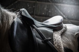 Dieckmann Leder Grosshandel Sattelleder